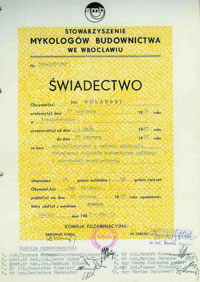 Świadectwo